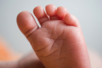 Newborns
